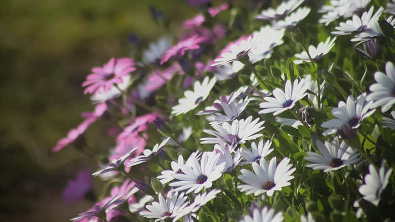 “突然就释怀了的清醒文案”_wishdown.com “突然就释怀了的清醒文案”_wishdown.com