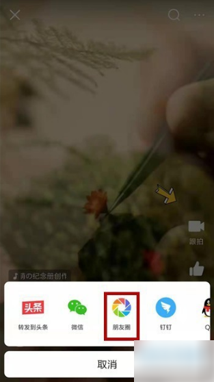 今日头条新闻如何转发到朋友圈 如何把今日头条小视频转发到朋友圈_wishdown.com 今日头条新闻如何转发到朋友圈 如何把今日头条小视频转发到朋友圈_wishdown.com