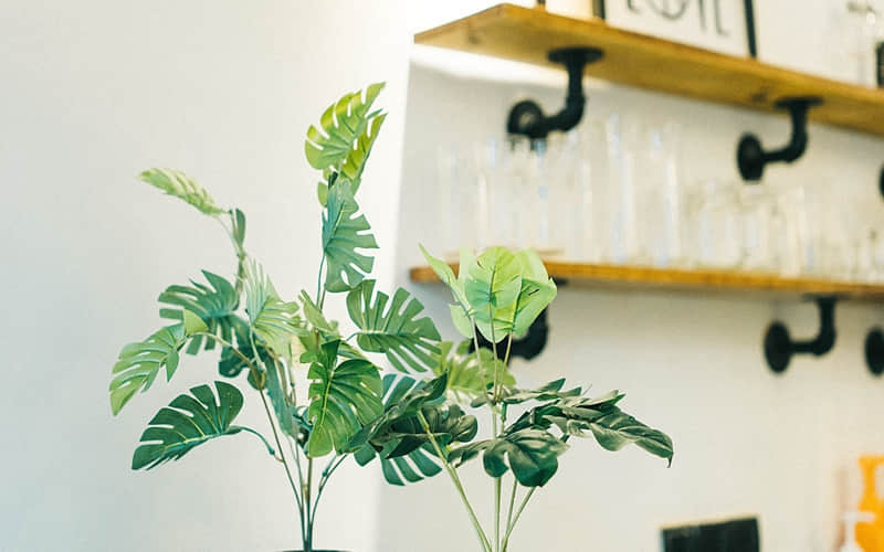 “一句顶一万句,句句封神!”_wishdown.com “一句顶一万句,句句封神!”_wishdown.com