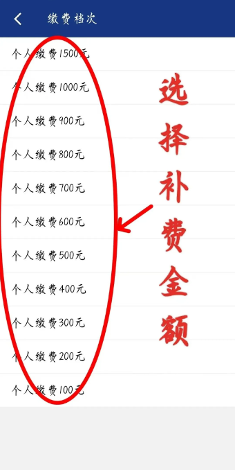 陕西社保app怎么续保 陕西社保app补缴申报教程_wishdown.com 陕西社保app怎么续保 陕西社保app补缴申报教程_wishdown.com