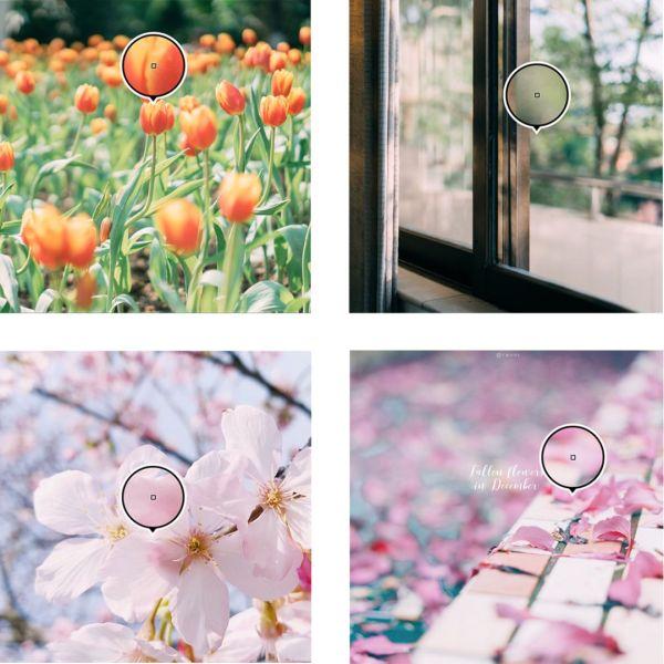 一口气测完12款手机修图APP 你猜究竟哪款好用_wishdown.com 一口气测完12款手机修图APP 你猜究竟哪款好用_wishdown.com