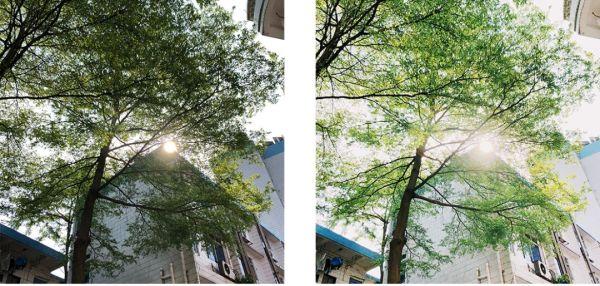 一口气测完12款手机修图APP 你猜究竟哪款好用_wishdown.com 一口气测完12款手机修图APP 你猜究竟哪款好用_wishdown.com