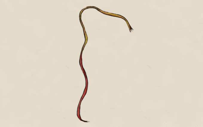 山河旅探第二章指认凶手攻略_wishdown.com 山河旅探第二章指认凶手攻略_wishdown.com