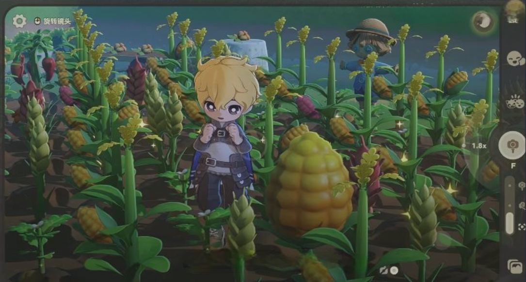 星布谷地变异果实怎么获取_wishdown.com 星布谷地变异果实怎么获取_wishdown.com