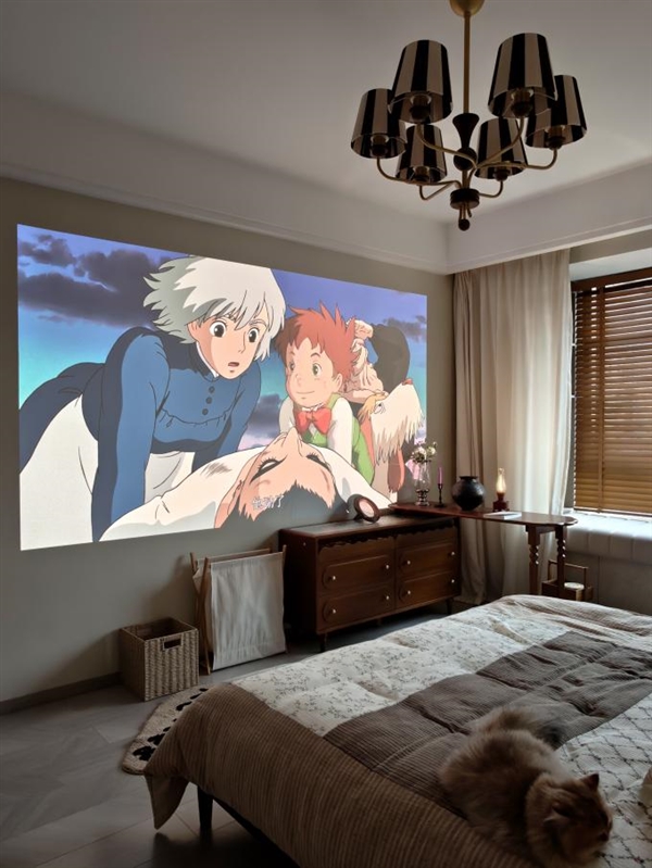 ΪʲôƷƽ궼0.39DMDʾоƬ D7X Pro