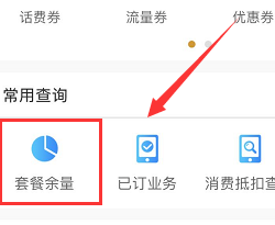 移动掌上营业厅如何查自己的套餐 查自己的套餐方法_wishdown.com 移动掌上营业厅如何查自己的套餐 查自己的套餐方法_wishdown.com