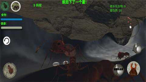 2025热门动物世界游戏推荐_wishdown.com 2025热门动物世界游戏推荐_wishdown.com