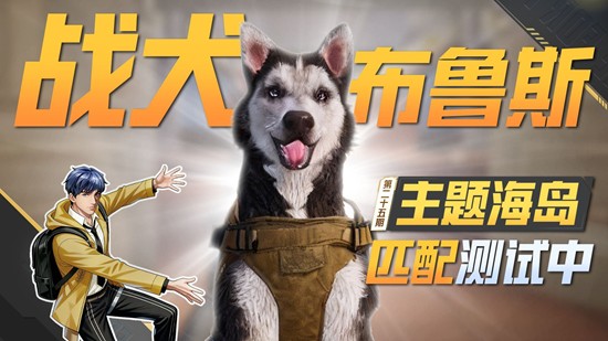 ƽӢ׸AIͶսȮ³˹ƥģʽ