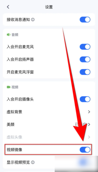 腾讯视频会议如何设置镜像 怎么设置腾讯会议视频镜像启用_wishdown.com 腾讯视频会议如何设置镜像 怎么设置腾讯会议视频镜像启用_wishdown.com
