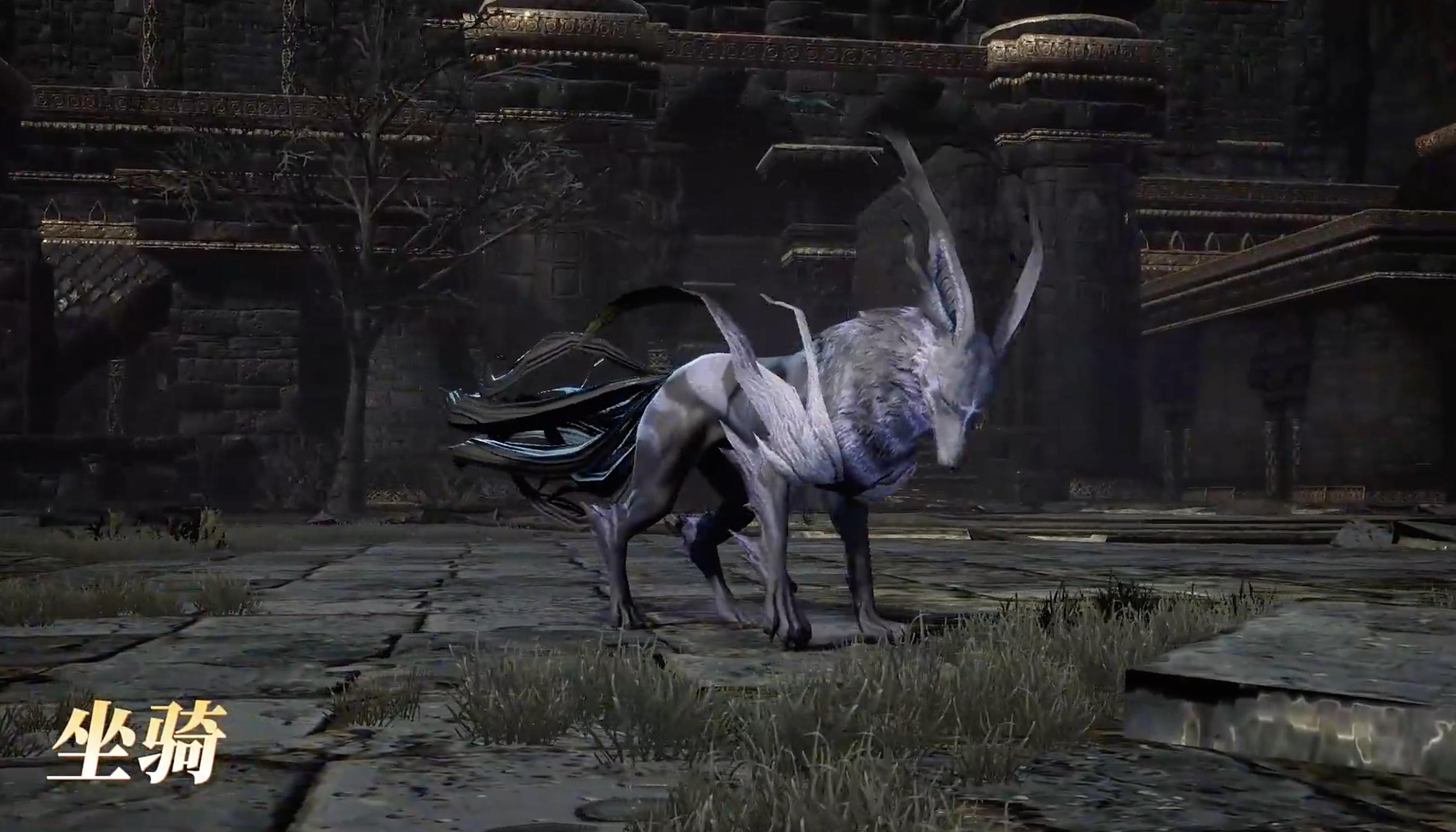 零度曙光飞行坐骑有吗_wishdown.com 零度曙光飞行坐骑有吗_wishdown.com