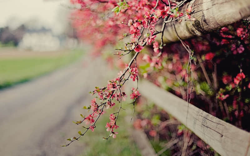 建议一辈子收藏的心情文案_wishdown.com 建议一辈子收藏的心情文案_wishdown.com