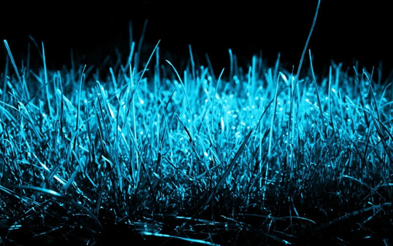 建议一辈子收藏的心情文案_wishdown.com 建议一辈子收藏的心情文案_wishdown.com