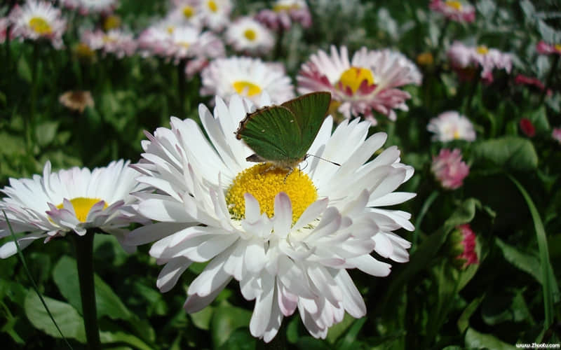 ??Ȧ???A???@?Ԫ??????İ