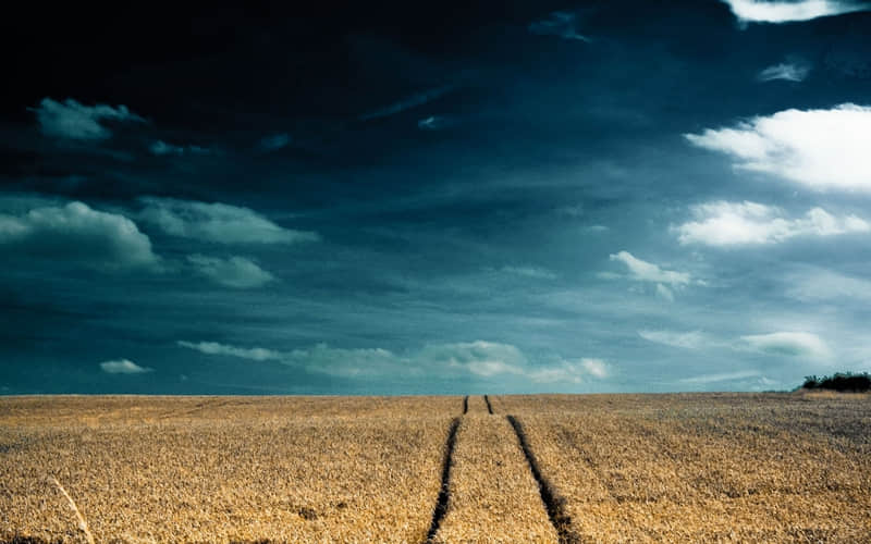 “朋?友?圈???ˋ???ˊ?元气满满的生活??????文案”_wishdown.com “朋?友?圈???ˋ???ˊ?元气满满的生活??????文案”_wishdown.com