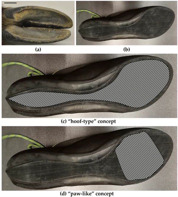 为什么山羊能够攀爬悬崖峭壁 和猴子相比谁更强_wishdown.com 为什么山羊能够攀爬悬崖峭壁 和猴子相比谁更强_wishdown.com