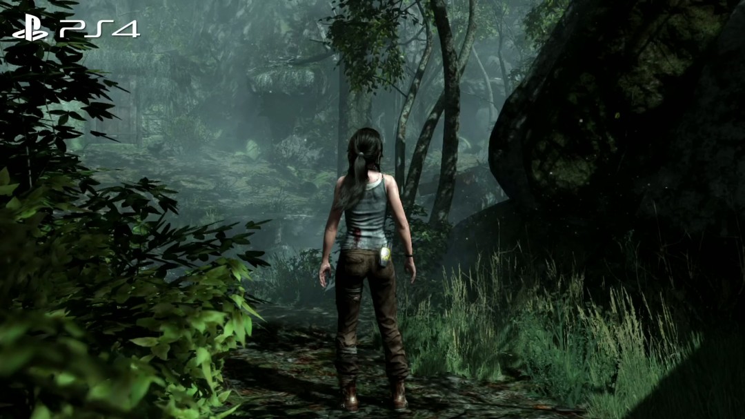 《古墓丽影9》NS2版画面大缩水 甚至不如PS3原版_wishdown.com 《古墓丽影9》NS2版画面大缩水 甚至不如PS3原版_wishdown.com