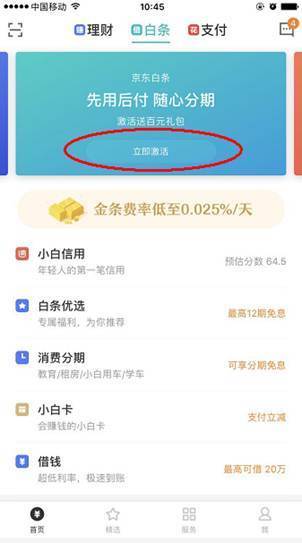 京东商城为什么一定要开通打白条_wishdown.com 京东商城为什么一定要开通打白条_wishdown.com