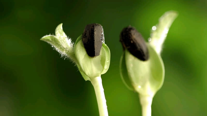 “句句合法,句句有病??”_wishdown.com “句句合法,句句有病??”_wishdown.com