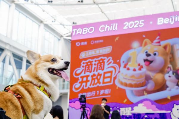 滴滴上线宠物友好地图,已合作超100家宠物友好门店_wishdown.com 滴滴上线宠物友好地图,已合作超100家宠物友好门店_wishdown.com