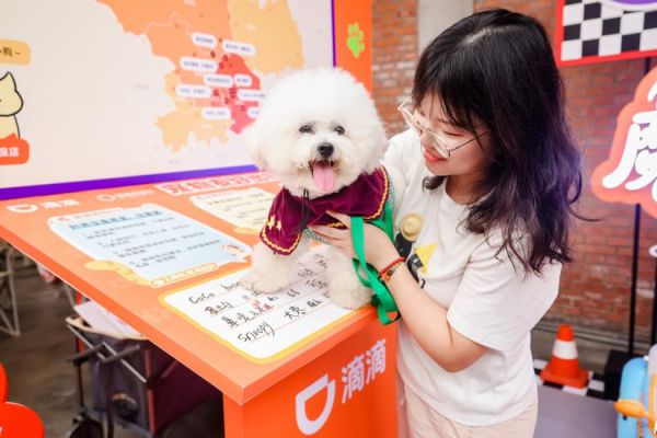 滴滴上线宠物友好地图,已合作超100家宠物友好门店_wishdown.com 滴滴上线宠物友好地图,已合作超100家宠物友好门店_wishdown.com