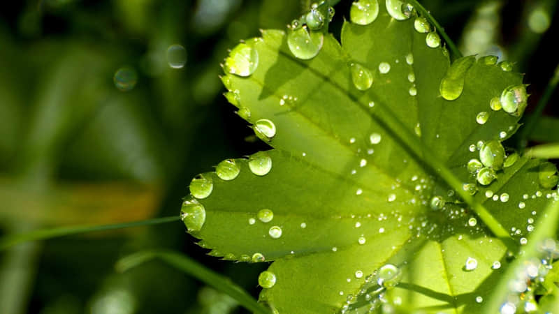 “私域朋友圈,不要写早安,你要写生活”_wishdown.com “私域朋友圈,不要写早安,你要写生活”_wishdown.com