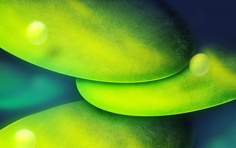 “私域朋友圈,不要写早安,你要写生活”_wishdown.com “私域朋友圈,不要写早安,你要写生活”_wishdown.com