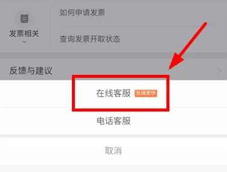 滴滴代驾如何申诉成功 滴滴出行申诉方法_wishdown.com 滴滴代驾如何申诉成功 滴滴出行申诉方法_wishdown.com