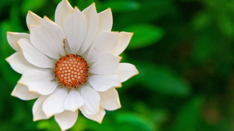 幸福有生命力の文案_wishdown.com 幸福有生命力の文案_wishdown.com