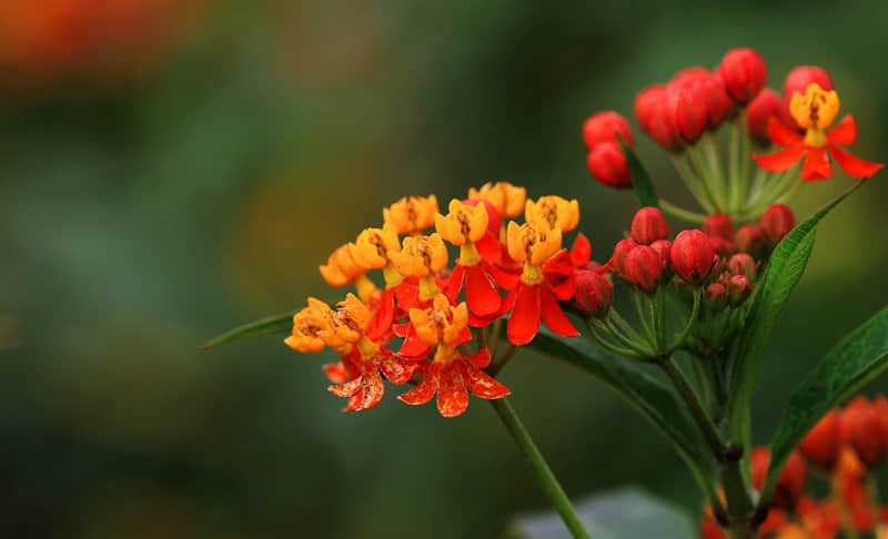 “早知道这么痛,我就不去碰了”_wishdown.com “早知道这么痛,我就不去碰了”_wishdown.com