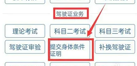 12123交管如何上传体检表 交管12123提交体检信息教程_wishdown.com 12123交管如何上传体检表 交管12123提交体检信息教程_wishdown.com