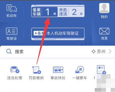 交警123123怎么看违章照片 交管12123查看违法照片_wishdown.com 交警123123怎么看违章照片 交管12123查看违法照片_wishdown.com