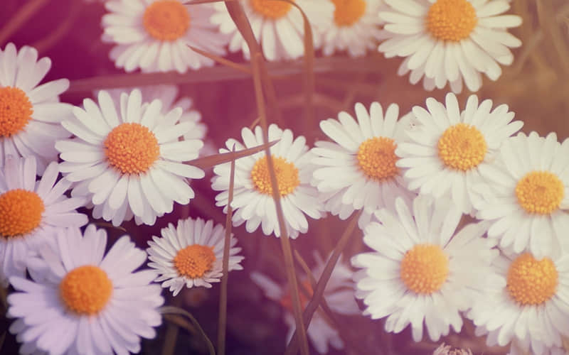 “最近很火,你却不懂的新梗??"_wishdown.com “最近很火,你却不懂的新梗??"_wishdown.com