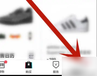 得物怎么办省钱卡 得物开通随心省方法介绍_wishdown.com 得物怎么办省钱卡 得物开通随心省方法介绍_wishdown.com