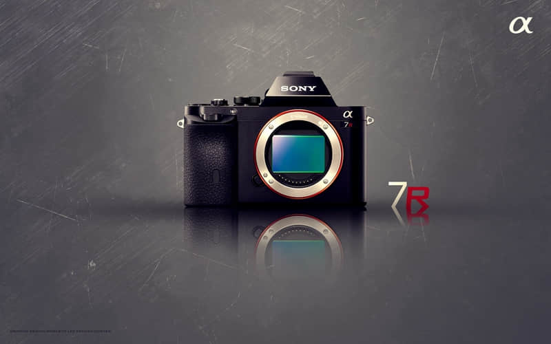 “ 女生清醒时的高冷,男人都佩服你三分 ”_wishdown.com “ 女生清醒时的高冷,男人都佩服你三分 ”_wishdown.com