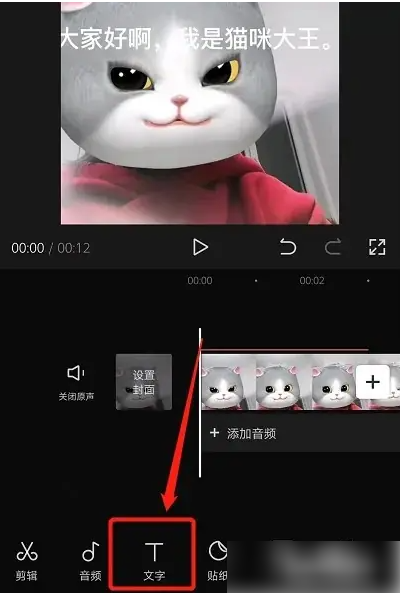 剪映怎么把文字变成人声 具体操作方法介绍_wishdown.com 剪映怎么把文字变成人声 具体操作方法介绍_wishdown.com