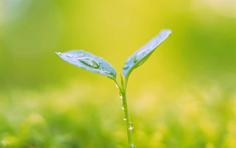 “早上起床这样发,能把朋友圈笑死??”_wishdown.com “早上起床这样发,能把朋友圈笑死??”_wishdown.com