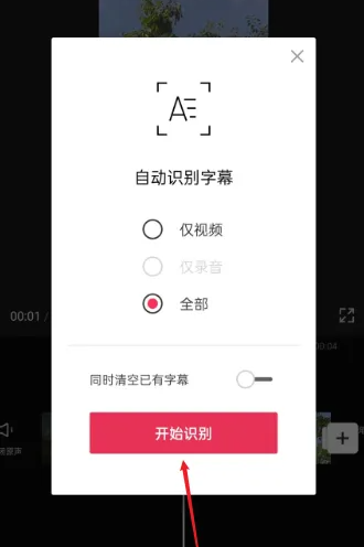 剪映如何自动生成字幕 具体操作方法介绍_wishdown.com 剪映如何自动生成字幕 具体操作方法介绍_wishdown.com