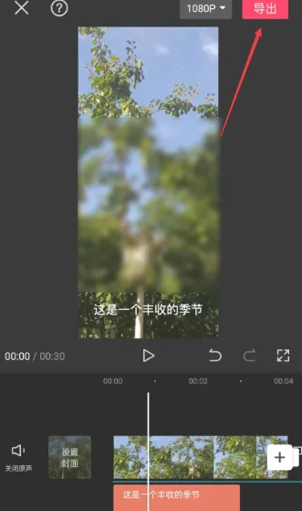 剪映如何自动生成字幕 具体操作方法介绍_wishdown.com 剪映如何自动生成字幕 具体操作方法介绍_wishdown.com