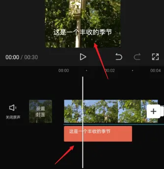 剪映如何自动生成字幕 具体操作方法介绍_wishdown.com 剪映如何自动生成字幕 具体操作方法介绍_wishdown.com
