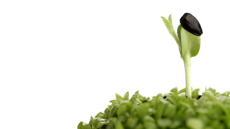 "朋?友?圈?????拥抱生活???????文案"_wishdown.com "朋?友?圈?????拥抱生活???????文案"_wishdown.com