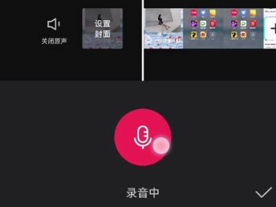 剪映如何加配音 剪映配音方法介绍_wishdown.com 剪映如何加配音 剪映配音方法介绍_wishdown.com