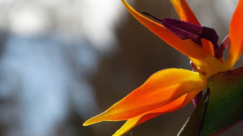 ??1????????????????? 