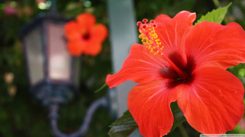 “??悠哉悠哉又是1天????????????????? ”_wishdown.com “??悠哉悠哉又是1天????????????????? ”_wishdown.com