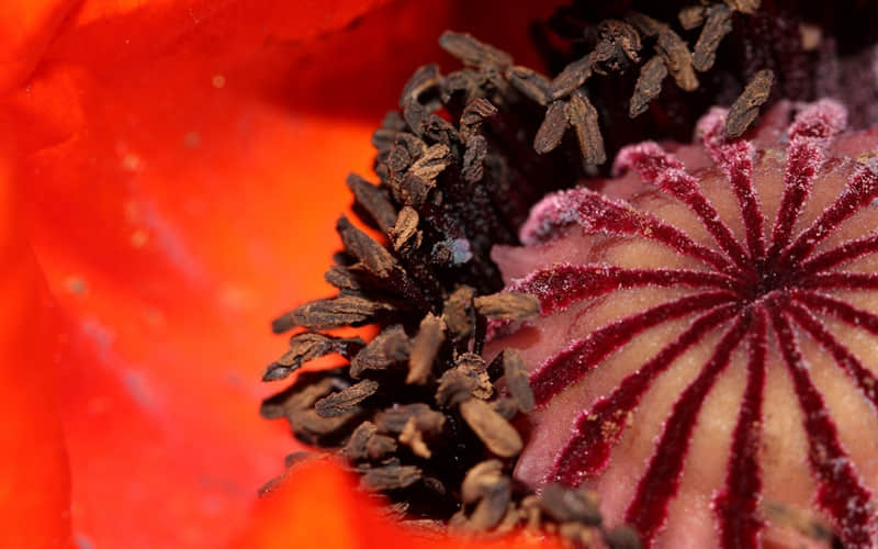 “??悠哉悠哉又是1天????????????????? ”_wishdown.com “??悠哉悠哉又是1天????????????????? ”_wishdown.com