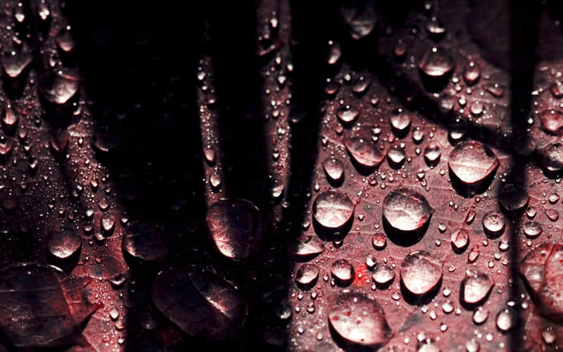 “??悠哉悠哉又是1天????????????????? ”_wishdown.com “??悠哉悠哉又是1天????????????????? ”_wishdown.com