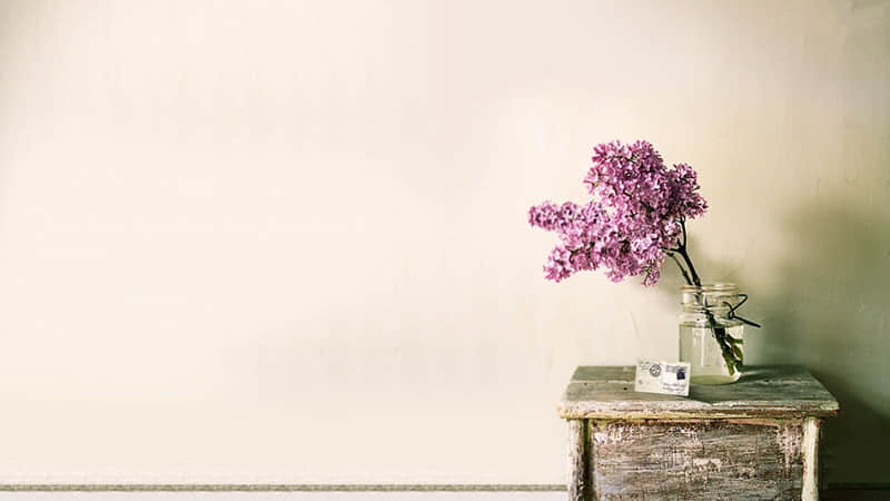 “今年很火,你却不懂的新梗~”?????_wishdown.com “今年很火,你却不懂的新梗~”?????_wishdown.com