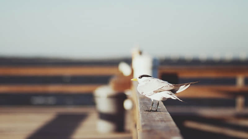 “做销售的挑一句,越会逗乐,客户越买帐~!”_wishdown.com “做销售的挑一句,越会逗乐,客户越买帐~!”_wishdown.com