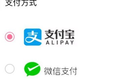 哔哩哔哩动画如何微信支付会员 具体操作方法介绍_wishdown.com 哔哩哔哩动画如何微信支付会员 具体操作方法介绍_wishdown.com