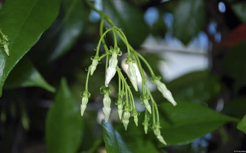 “女生在床上说的最多的话"_wishdown.com “女生在床上说的最多的话"_wishdown.com