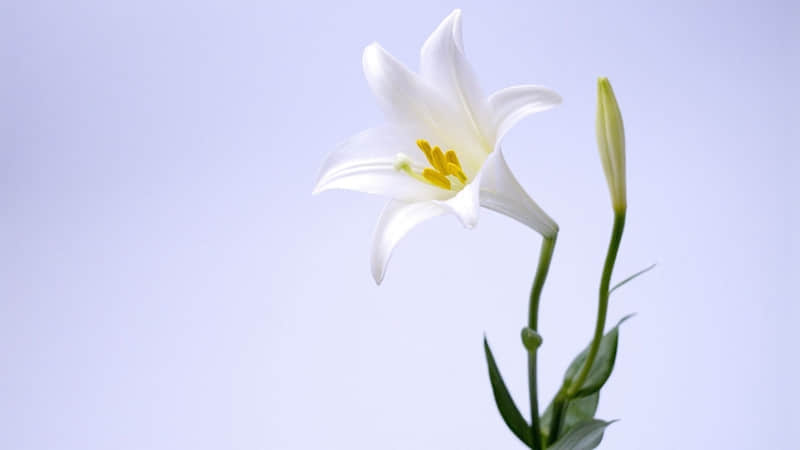 “女生在床上说的最多的话"_wishdown.com “女生在床上说的最多的话"_wishdown.com